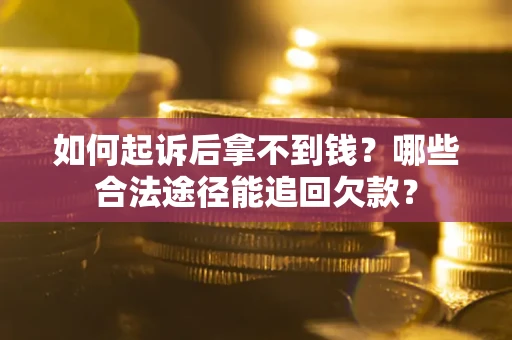 武汉如何起诉后拿不到钱？哪些合法途径能追回欠款？