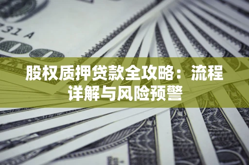 武汉股权质押贷款全攻略：流程详解与风险预警