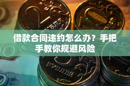 武汉借款合同违约怎么办？手把手教你规避风险