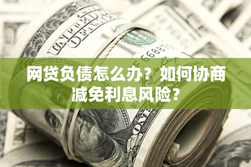 武汉网贷负债怎么办？如何协商减免利息风险？