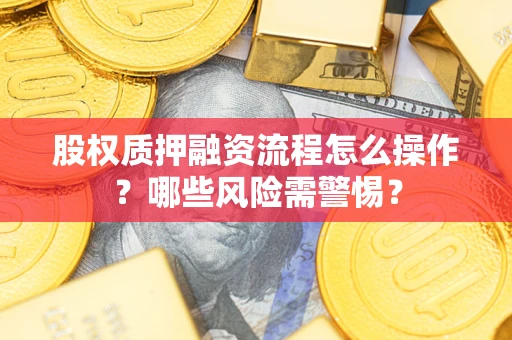 武汉股权质押融资流程怎么操作？哪些风险需警惕？