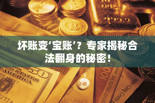 武汉坏账变‘宝账’？专家揭秘合法翻身的秘密！
