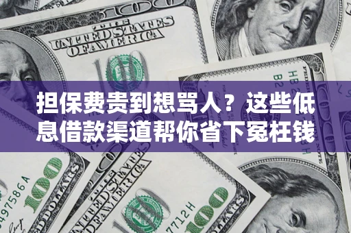 武汉担保费贵到想骂人？这些低息借款渠道帮你省下冤枉钱