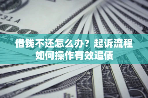 武汉借钱不还怎么办？起诉流程如何操作有效追债