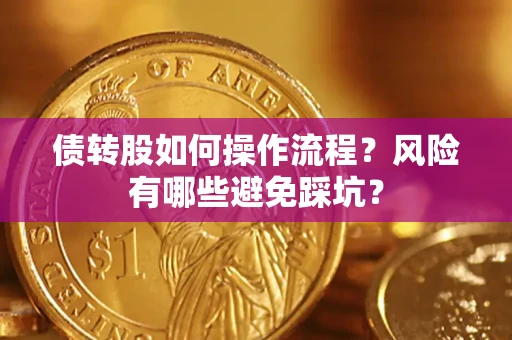 武汉债转股如何操作流程?风险有哪些避免踩坑? 武汉债转股如何操作流程?风险有哪些避免踩坑?