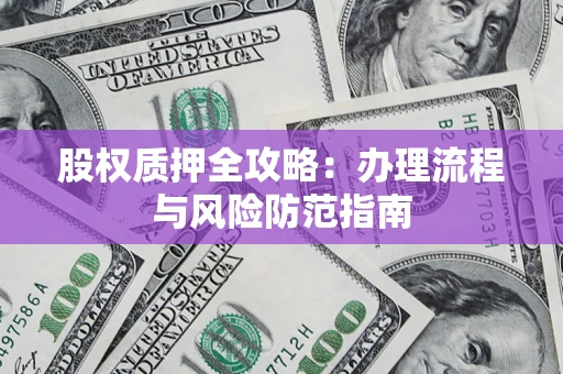 武汉股权质押全攻略：办理流程与风险防范指南