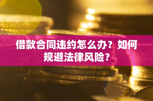 武汉借款合同违约怎么办？如何规避法律风险？