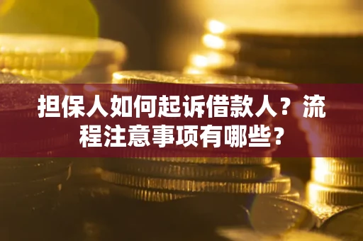 武汉担保人如何起诉借款人？流程注意事项有哪些？